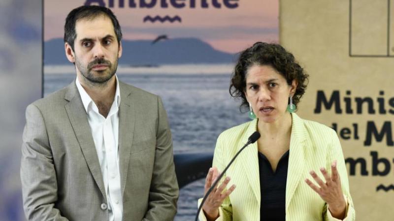 Agencia Uno - Tribunal anula resolución que rechazó permiso ambiental de Dominga