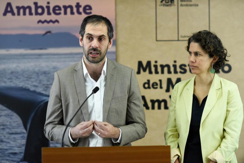 Tribunal anula resolución que rechazó permiso ambiental de Dominga