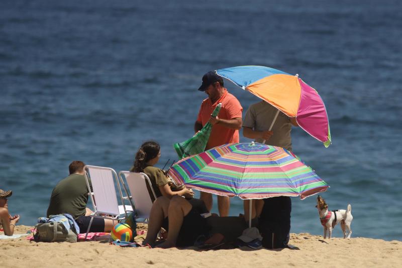 Agencia Uno - ¿Lo sabías?: Así funciona la ley que preferencia a padres y madres para coincidir con las vacaciones de sus hijos