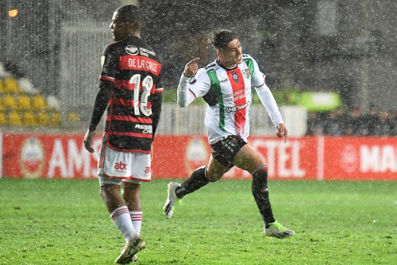 Palestino fue el último equipo de Fernando Cornejo en Chile - Créditos: Agencia Uno.