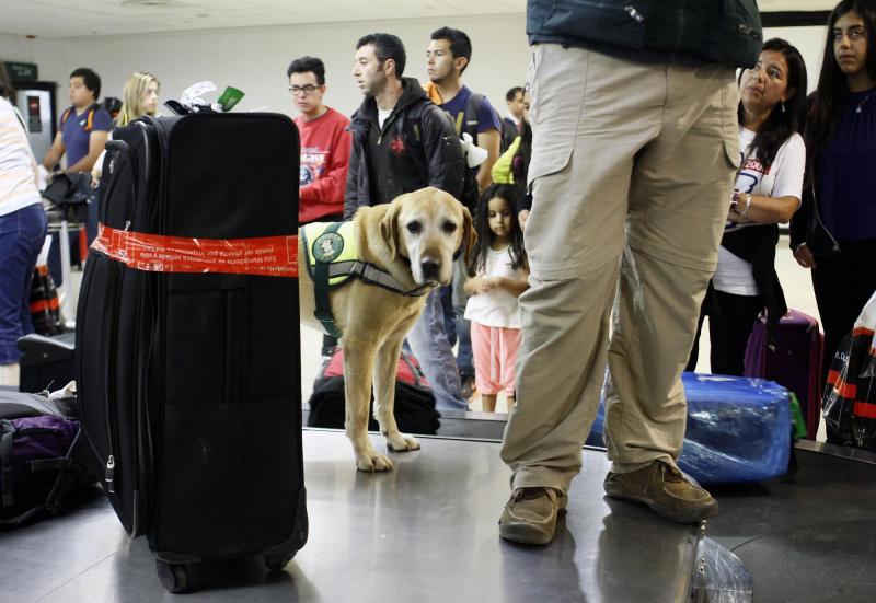 Agencia Uno - Contraloría detecta múltiples falencias en control de mercancías que ingresan al país