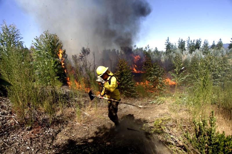 Alerta Roja por incendio forestal en Hualqui