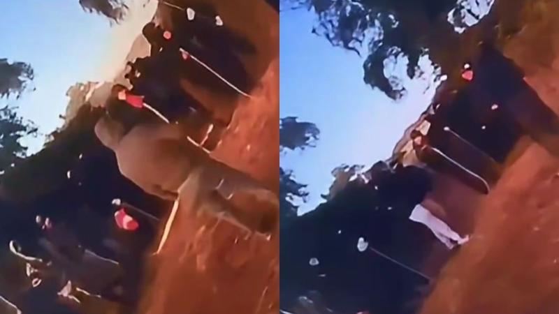 Detienen a siete personas sospechosas de extorsionar a agricultores en La Araucanía