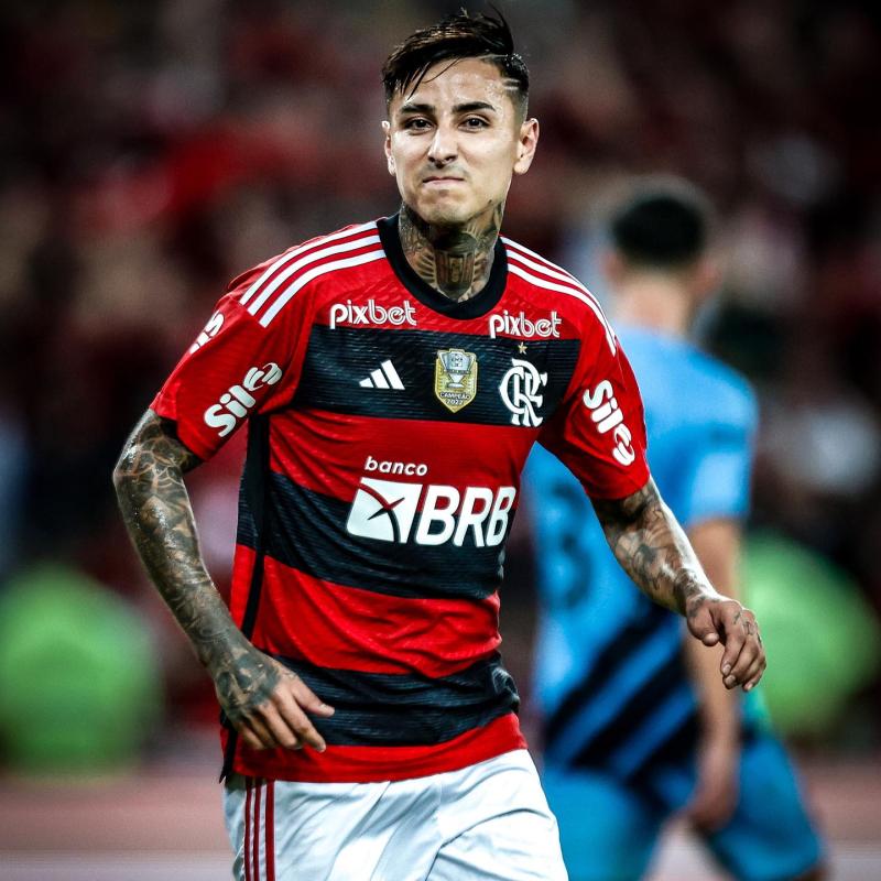 Erick Pulgar - Créditos: Planeta do Flamengo.