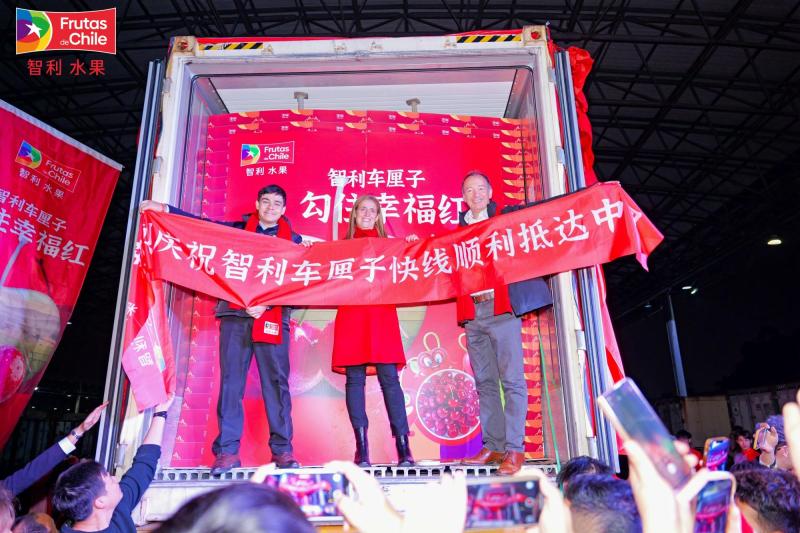 China recibe la primera carga de cerezas de la temporada desde Chile: Se exportaron más de 4500 toneladas