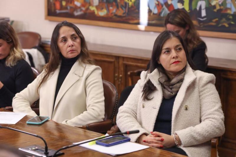 Diputadas de oposición critican entrevista de Camila Vallejo