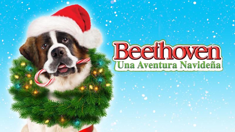Beethoven es parte de la programación de Navidad de Canal 13