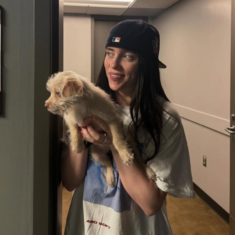 Lanzan pulsera a Billie Eilish mientras cantaba: así reaccionó la artista - Instagram Billie Eilish