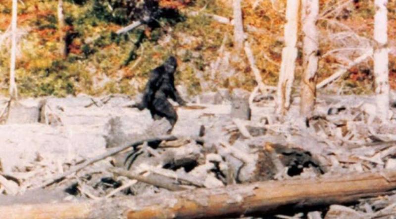 Este video de 1967 es el registro más conocido del supuesto avistamiento de "Pie Grande"