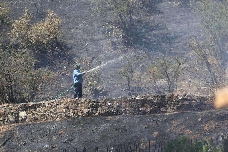 Incendios: Contraloría cuestiona selección de jefaturas de Conaf sin concurso y sin mitigar conflictos de interés