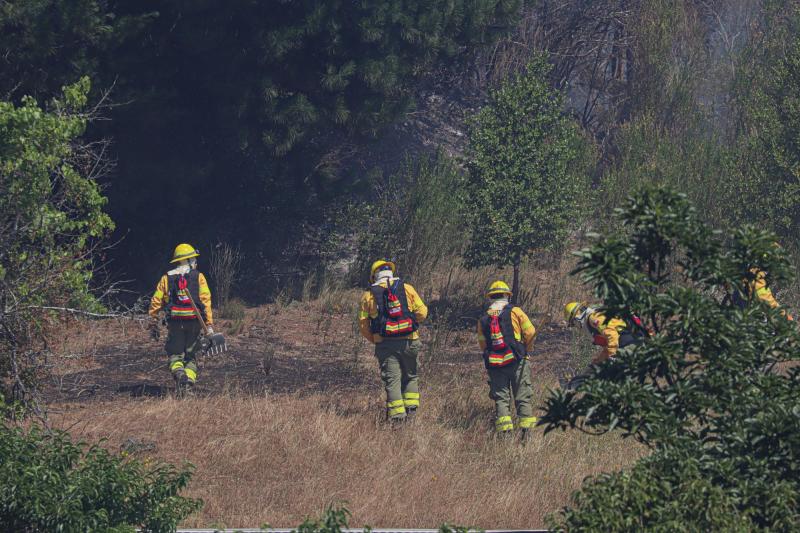 Agencia Uno - Incendio forestal (referencial)