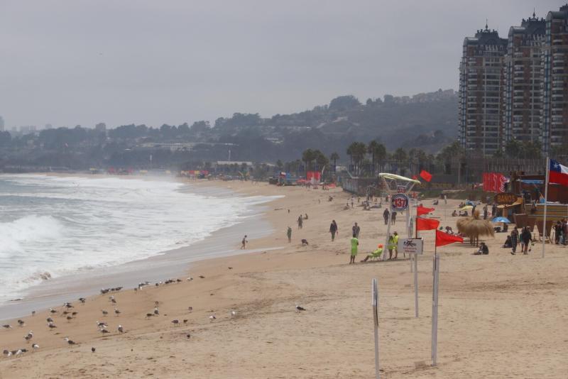 Agencia Uno - Playa en Viña del Mar