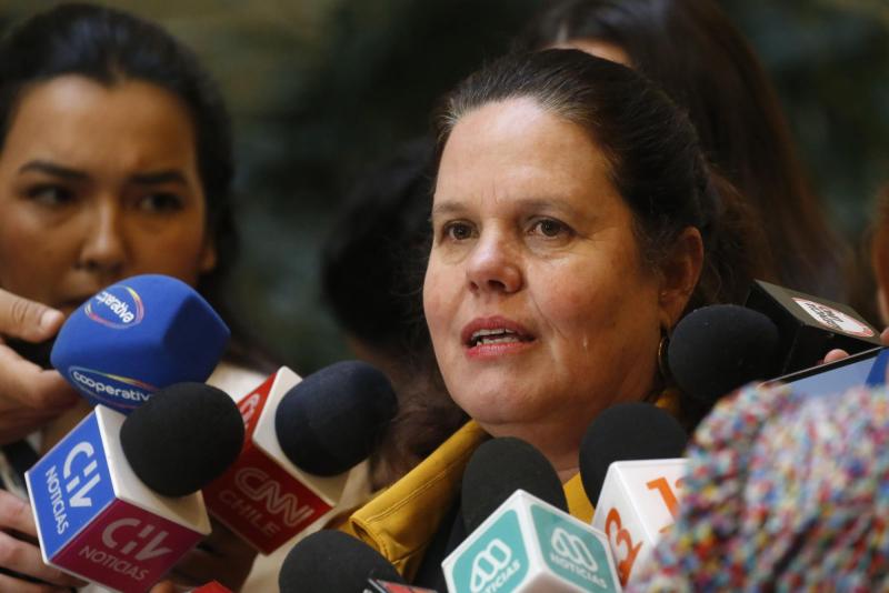 Aton - Ministra de Defensa, Maya Fernández (Archivo)