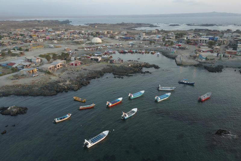 ATON - Proyecto minero Dominga