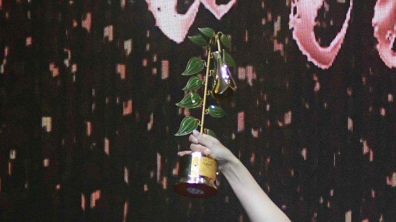 Agencia Uno - Copihue de Oro