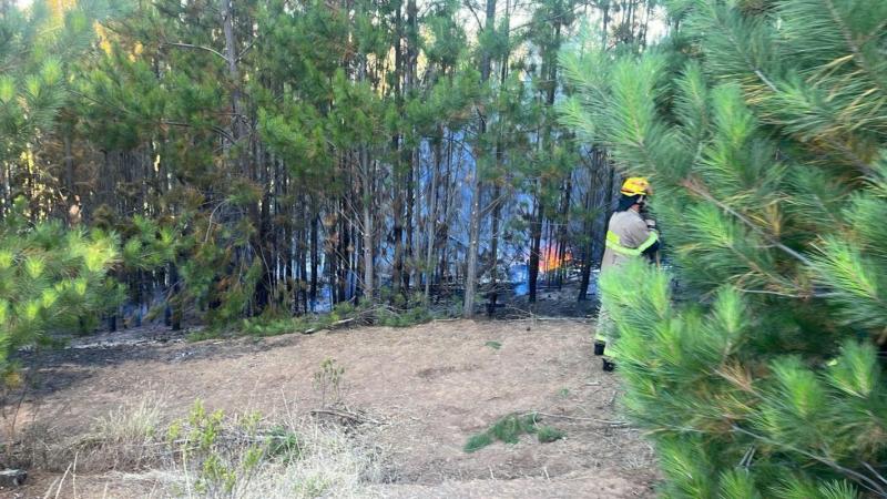 X IEC-180 CONTROL STGO - Al menos tres muertos por accidente de helicóptero en Paredones
