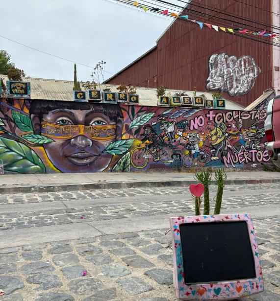 "No hay respeto o aprecio por este lugar en absoluto” Tiktoker inglés totalmente decepcionado tras visitar Valparaíso - Tiktok lloydbrownn