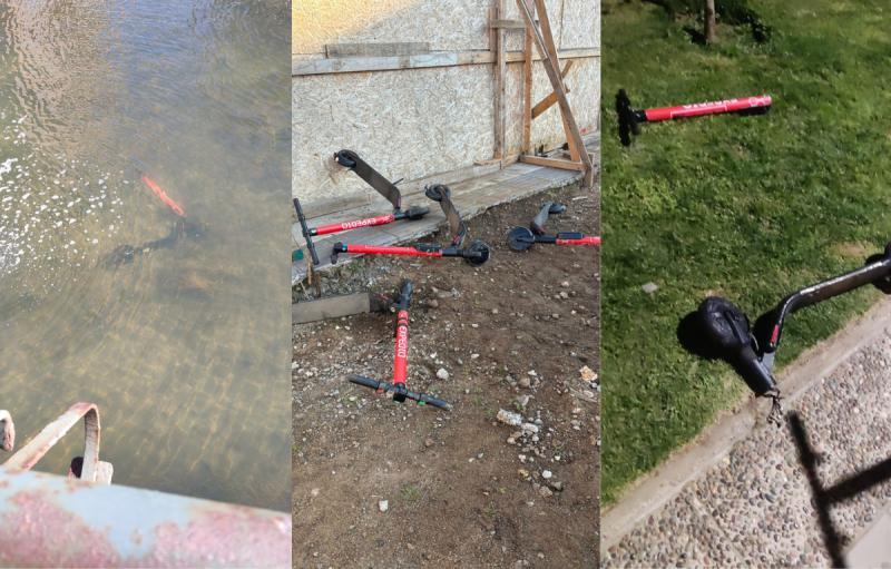 Patricia Solano revela a T13 que se va a reinventar tras robo de sus más de 400 scooters en Viña del Mar