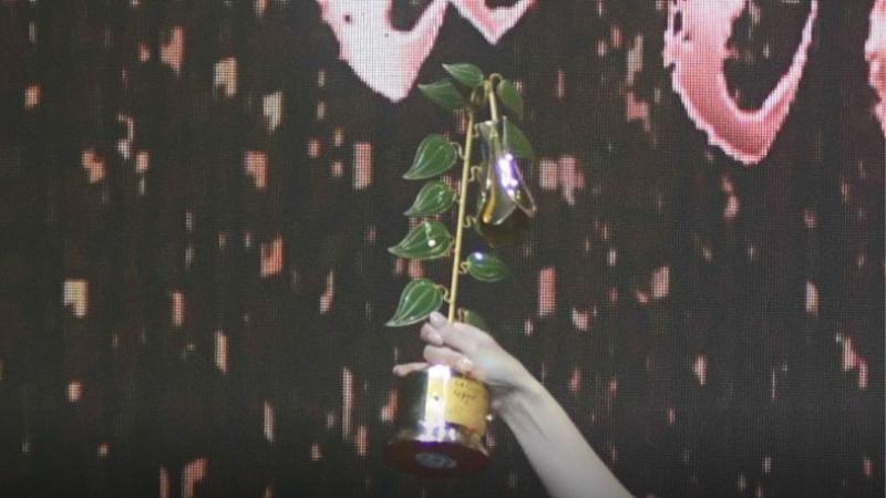 Agencia Uno - Premios Copihue de Oro 2024: ¿Dónde y cuándo ver la premiación?