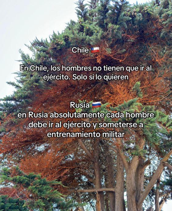 @Lovasoko - Diferencias entre chilenos y rusos, según usuaria de TikTok