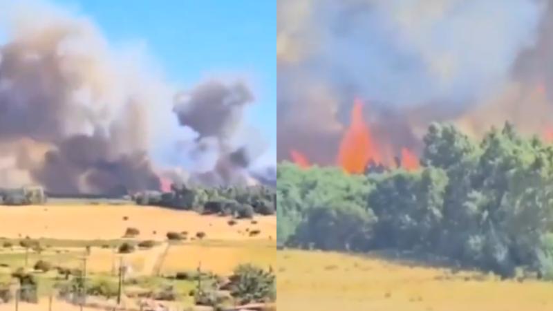 X - La Pintana: Reportan incendio en zona de pastizales con riesgo de propagación