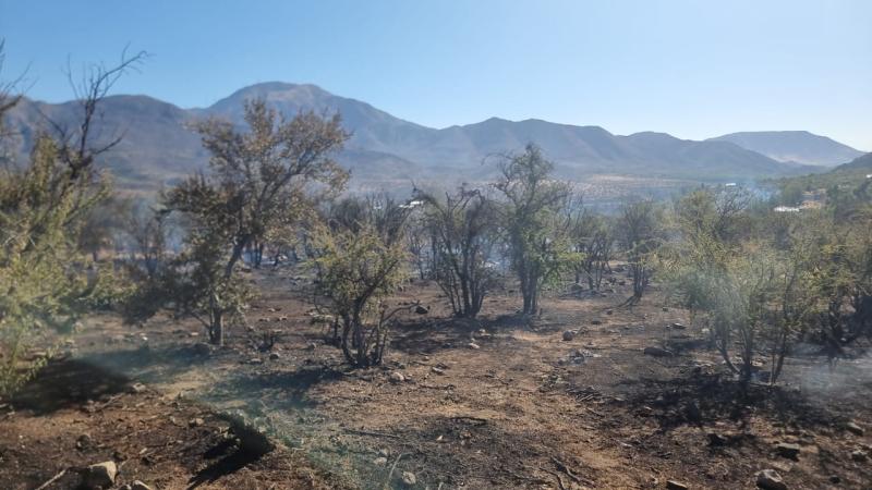 Muere adulta mayor en incendios forestales de San Esteban