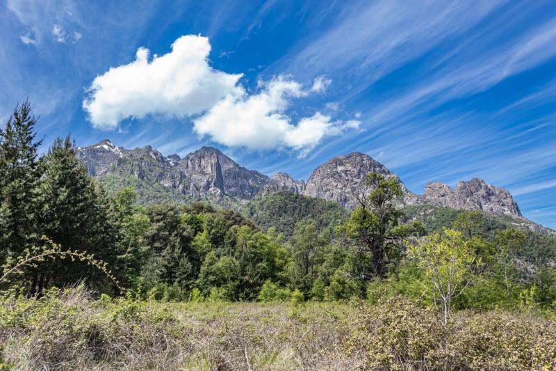 Conaf - Reserva Nacional Ñuble