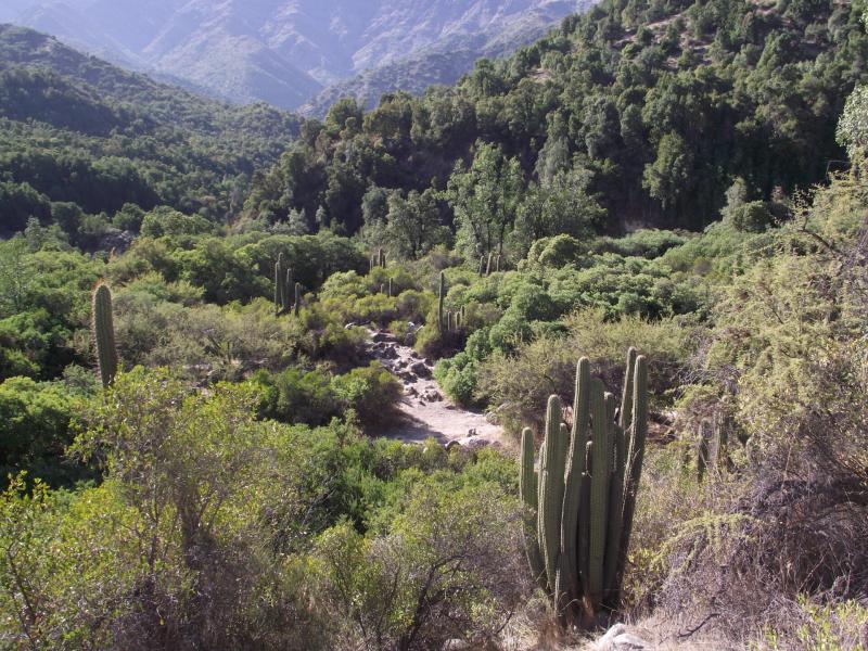 Conaf - Parque Nacional Río Clarillo