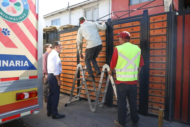 Denuncian que familia de La Florida abandonó a perro para irse de vacaciones a Perú