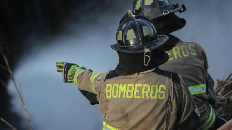 Agencia UNO - Detienen a hombre por incendio forestal en La Araucanía que arrasó 70 hectáreas