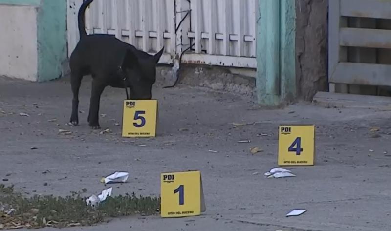 Homicidio San Ramón: Víctima es un joven con situación migratoria irregular