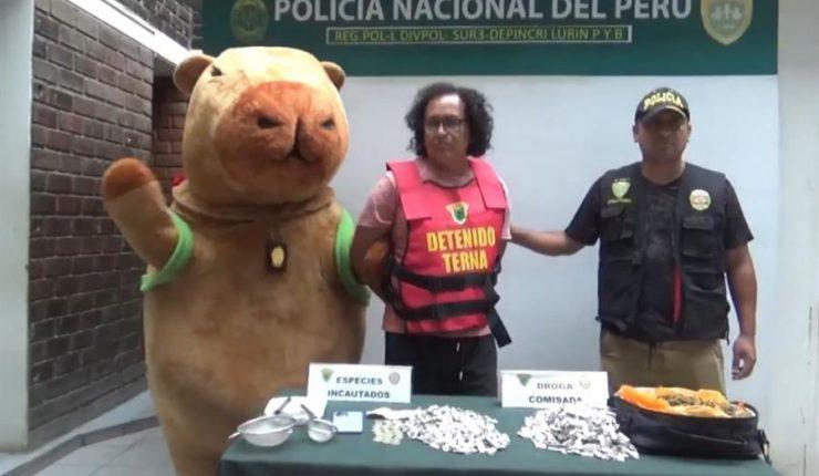 Capibara contra el crimen: Policía peruano se disfrazó de “capibara del amor” para detener a traficante