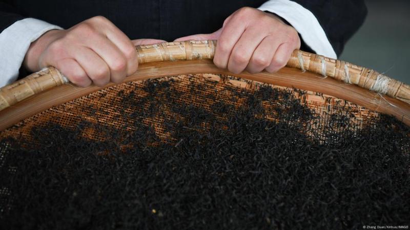 Vía DW - Las hojas de té negro en proceso de secado mostraron mayor capacidad de adsorción de metales pesados debido a la formación de pliegues y poros que aumentan su superficie de contacto.