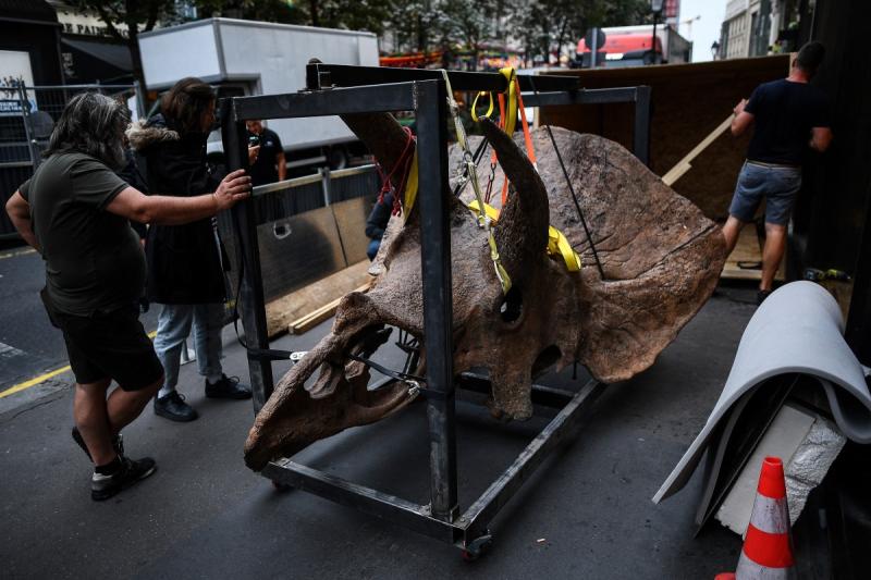 AFP - El lucrativo y turbio mercado de los restos de dinosaurios