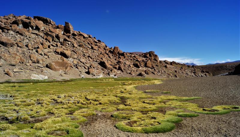 San Pedro de Atacama - Agencia Uno