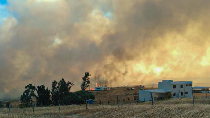 Alerta Roja para la región del Biobío por incendios forestales | Agencia UNO | Contexto