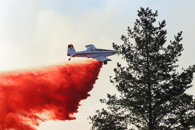 Agencia Uno - Mantienen toque de queda en 12 comunas de La Araucanía por incendios forestales