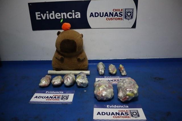 Gentileza - Descubren en Iquique a mujer que viajaba con 185 ovoides de pasta base: los ocultaba en peluche de capibara