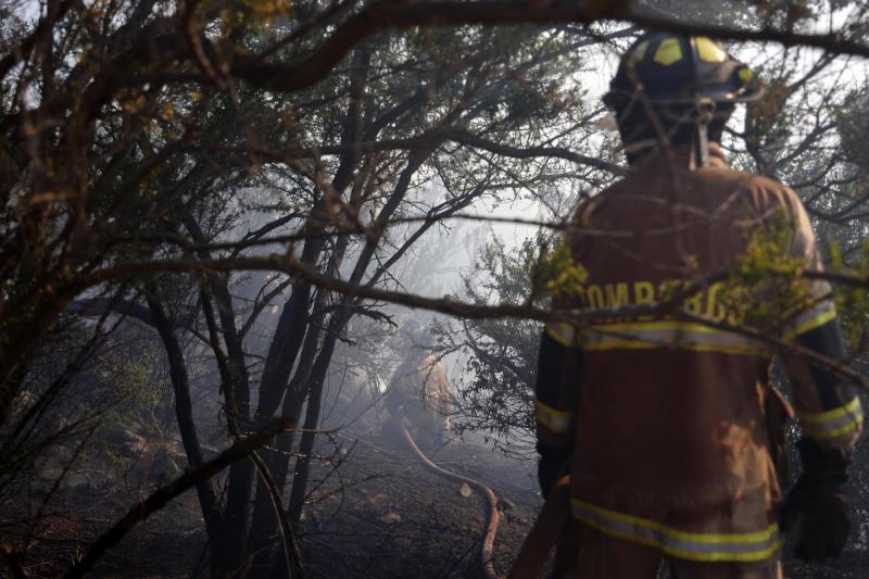 Aton (referencial) - Adulta mayor muere tras quedar atrapada en medio de incendio forestal en la región del Maule