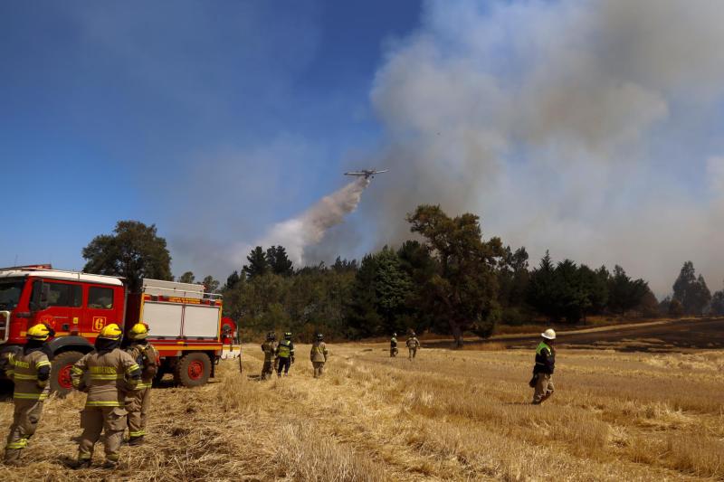 Aton - Conaf combate 11 incendios forestales activos: Hay más de 20 mil hectáreas arrasadas en el país