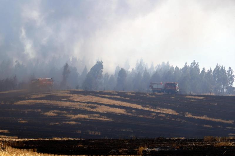 Ministra Tohá se refiere a incendios forestales - Aton