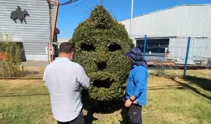 Arturo Vidal y quema de su homenaje a Talcahuano - Créditos: T13