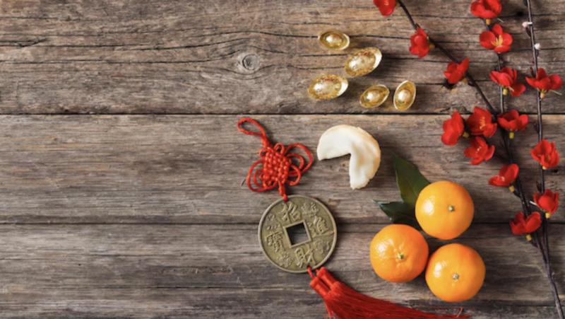 freepik - Perro se escapó de hotel, fue atropellado, unos hombres lo encontraron y cocinaron: El caso que conmueve China