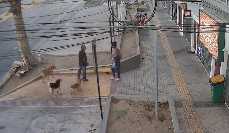 Hombre en situación de calle muere tras violenta agresión en El Bosque: Hay dos detenidos | Captura de cámara de seguridad