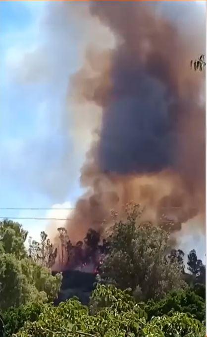 Incendio forestal en Curepto