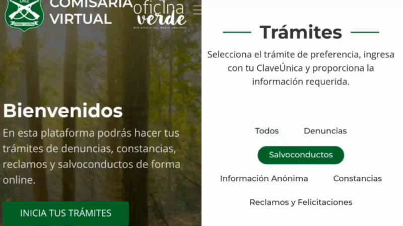 Carabineros - Toque de queda para sectores de La Araucanía: Así puedes solicitar tu salvoconducto en Comisaría Virtual