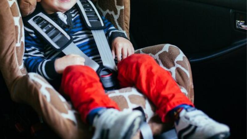 Freepik - Referencial