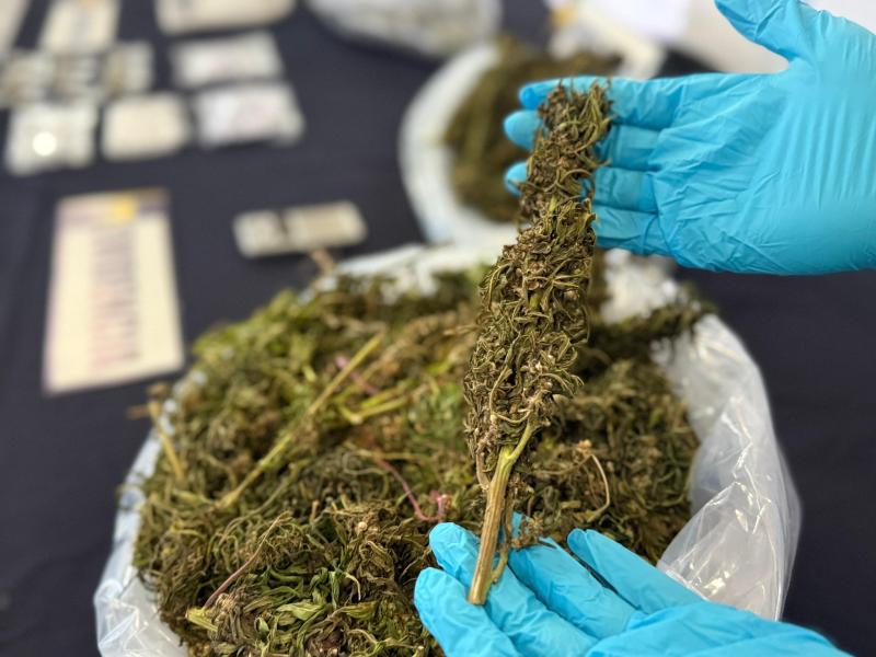 PDI desarticula punto de acopio de drogas en La Pintana