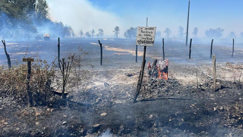 Zona afectada por los incendios forestales