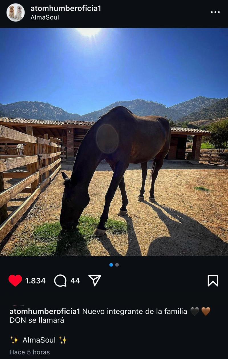 Alexis Sánchez presentó al nuevo integrante de su familia "Don" - Créditos: @atomhumberoficia1